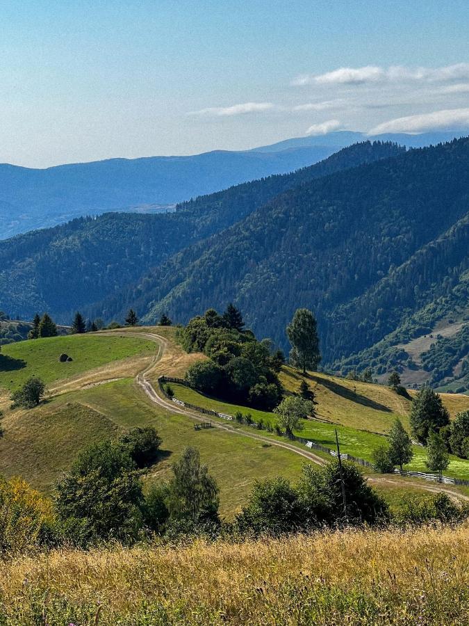 Садиба Between Mountains Mizhhirya  Εξωτερικό φωτογραφία
