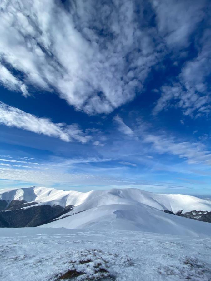 Садиба Between Mountains Mizhhirya  Εξωτερικό φωτογραφία