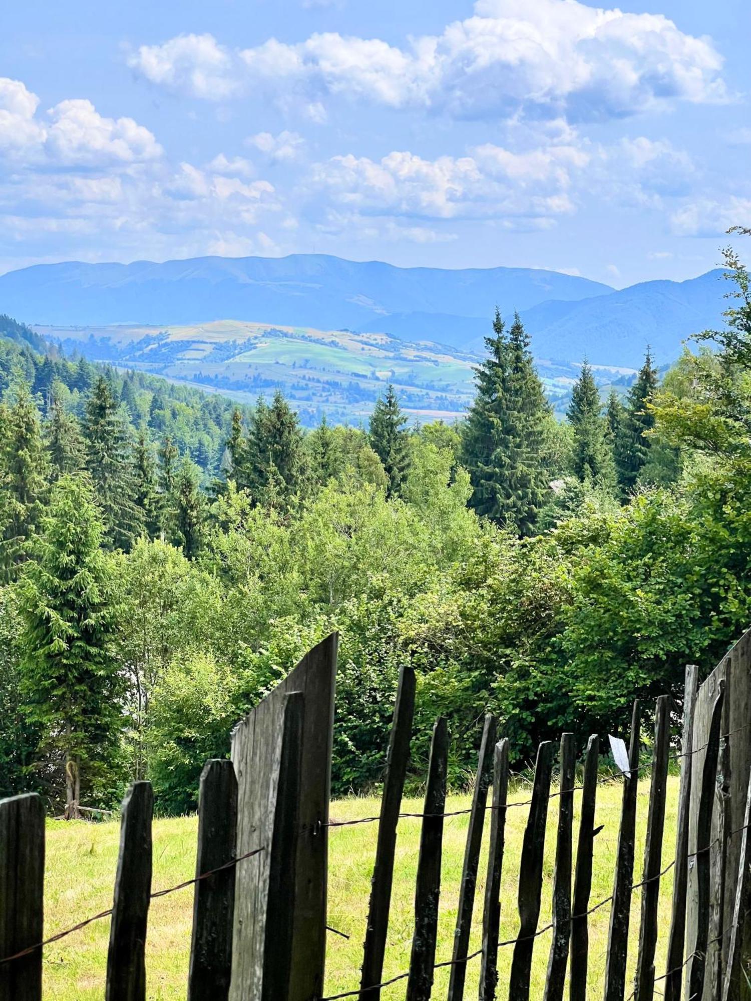 Садиба Between Mountains Mizhhirya  Εξωτερικό φωτογραφία